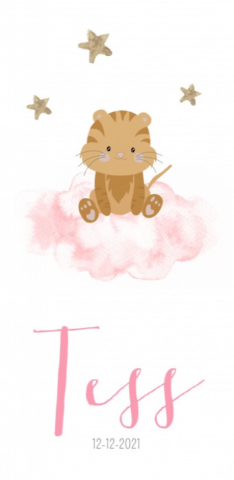 Geboortekaartje tijger op roze wolk Tess voor