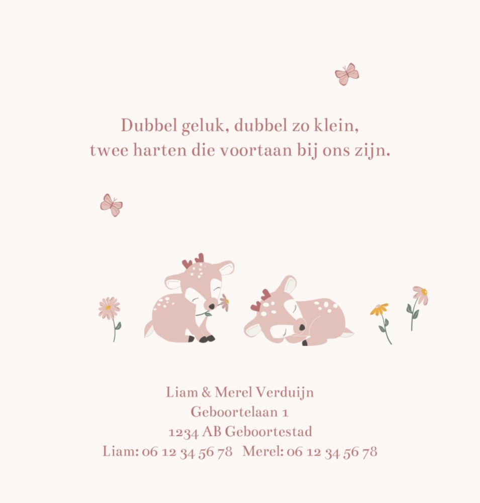 kaart binnenzijde links