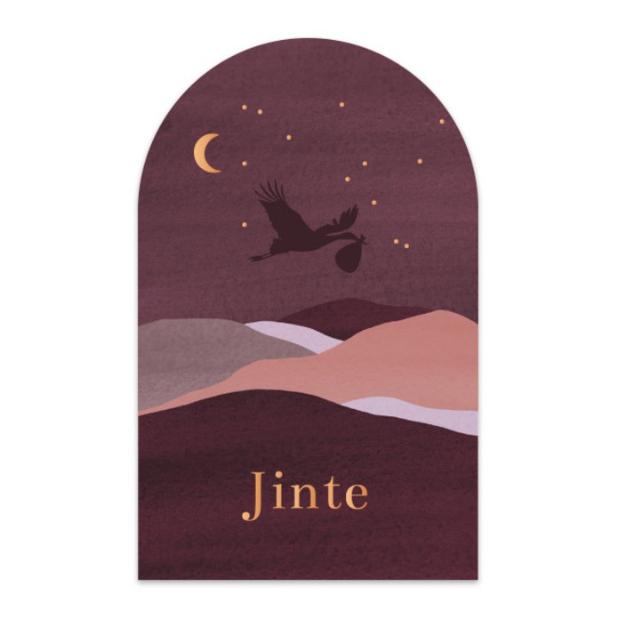 Geboortekaartje meisje landschap ooievaar Jinte