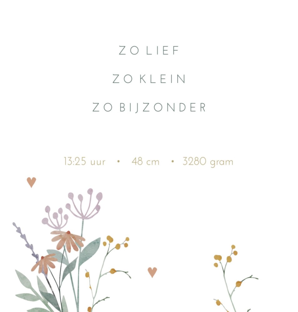 kaart binnenzijde links