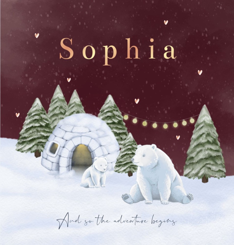 Geboortekaartje meisje ijsberen winter Sophia