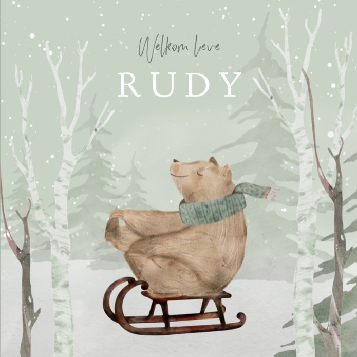 Geboortekaartje neutraal bos beer groen Rudy