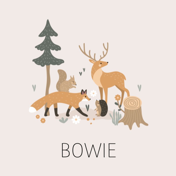 Geboortekaartje neutraal bosdieren Bowie