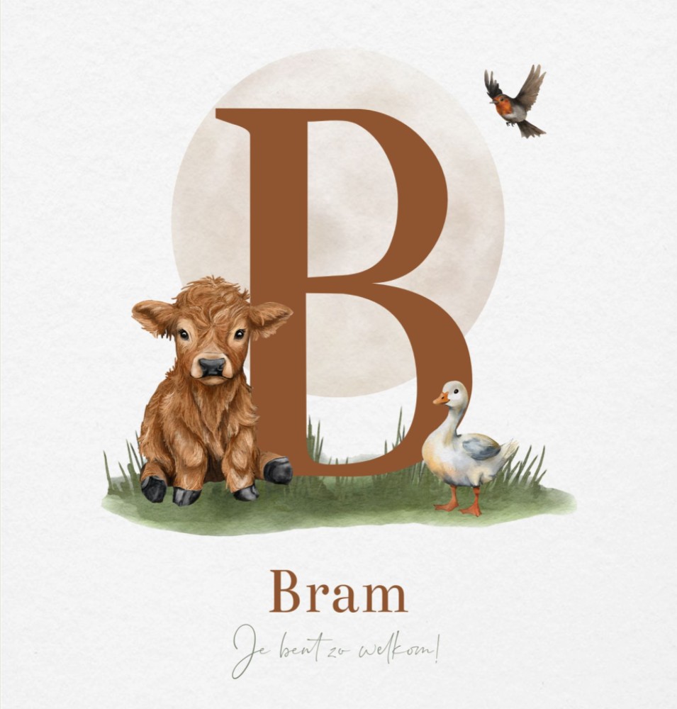 Geboortekaartje jongen boerderijdieren initiaal Bram