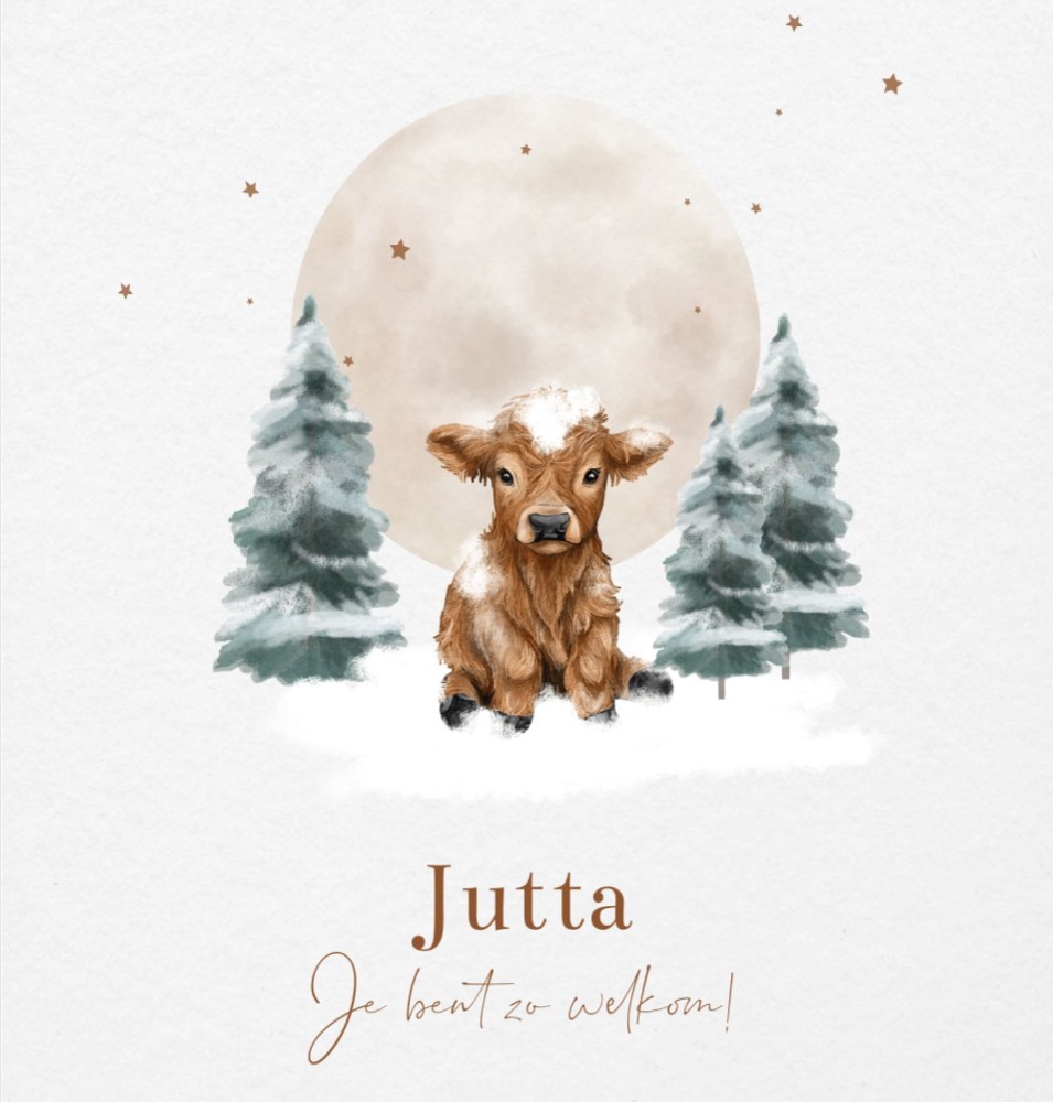 Geboortekaartje neutraal winter Schotse hooglander Jutta
