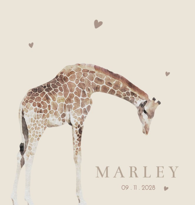 Geboortekaartje neutraal giraf Marley