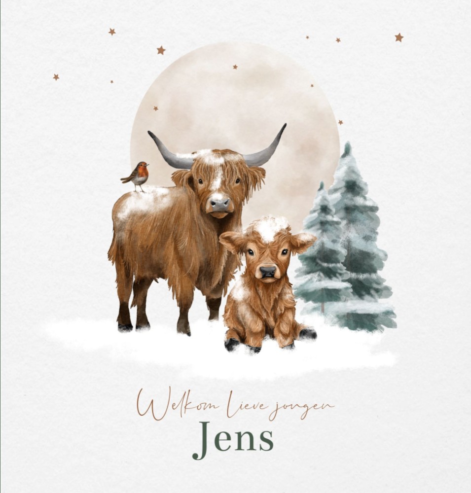 Geboortekaartje jongen Schotse hooglanders winter Jens