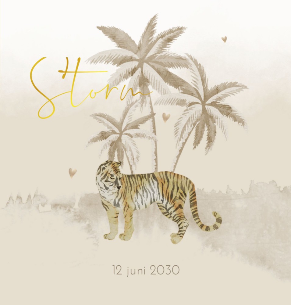 Geboortekaartje neutraal jungle lief Storm