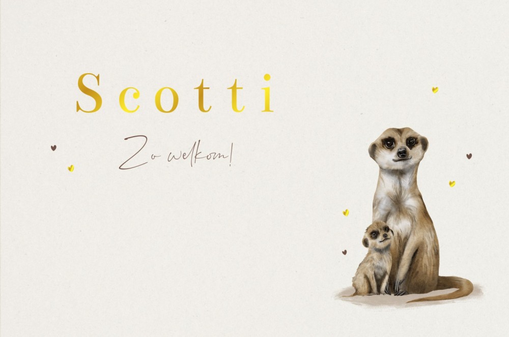 Geboortekaartje neutraal jungle stokstaartjes Scotti