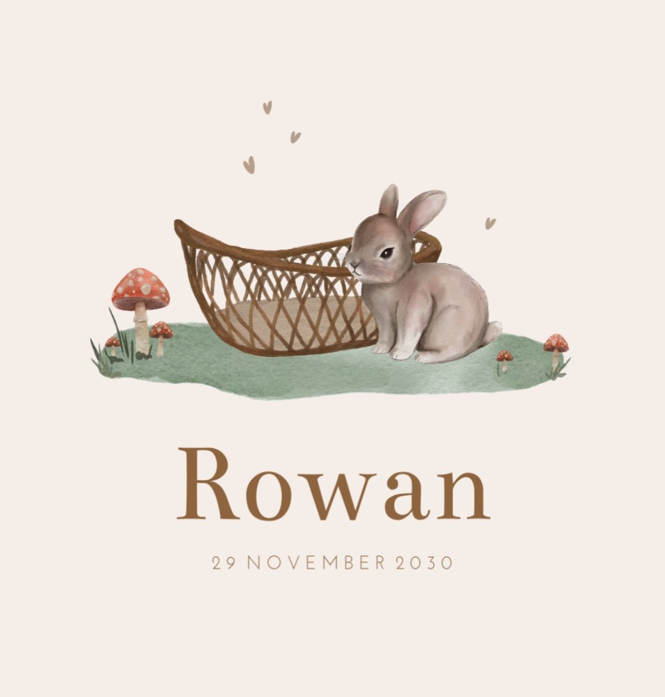 Geboortekaartje neutraal konijn Rowan