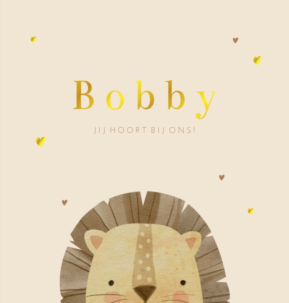 Geboortekaartje neutraal leeuw Bobby