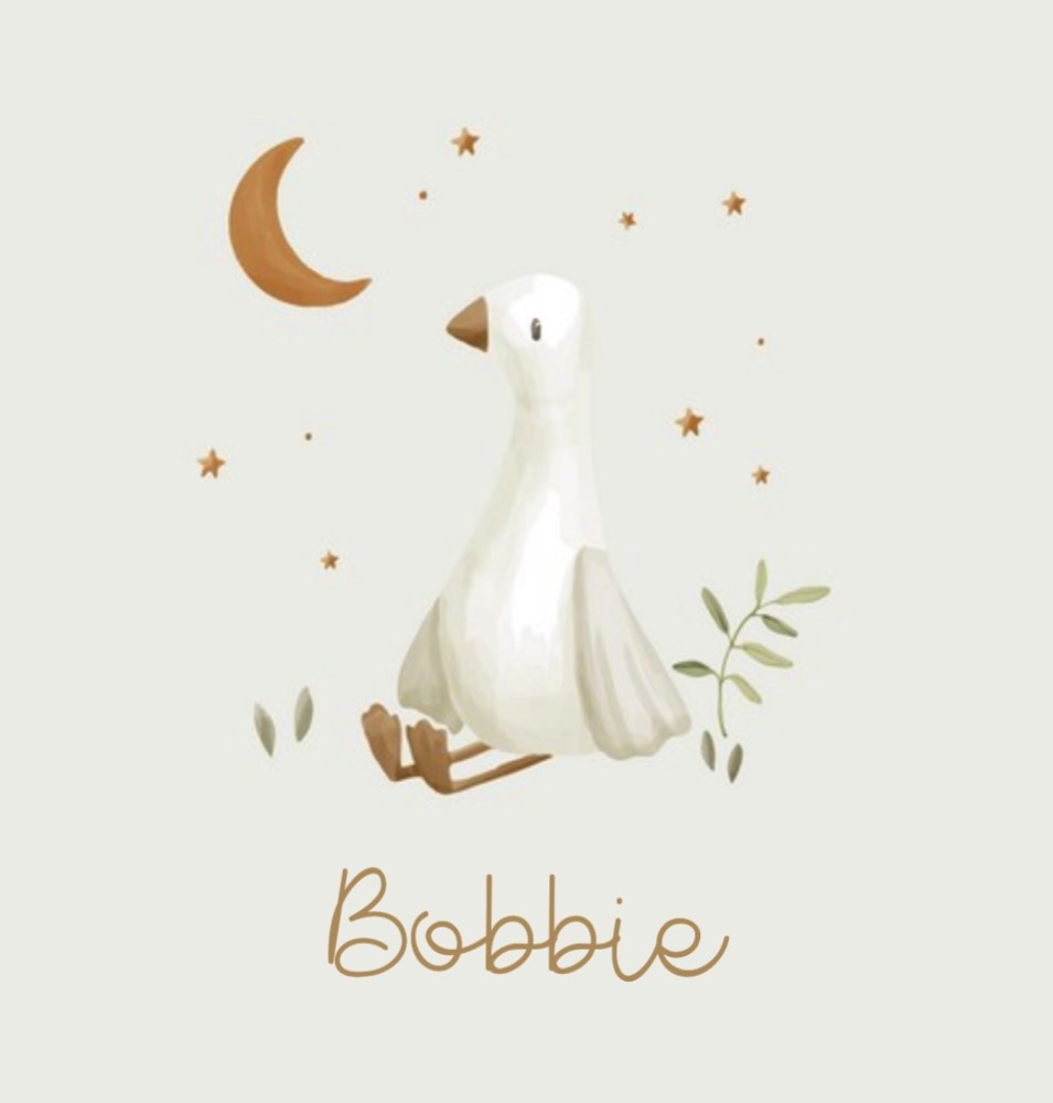 Geboortekaartje neutraal Little Dutch gans Bobbie
