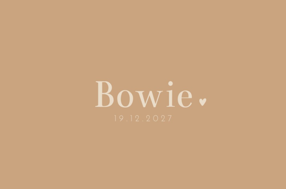 Geboortekaartje neutraal minimalistisch Bowie