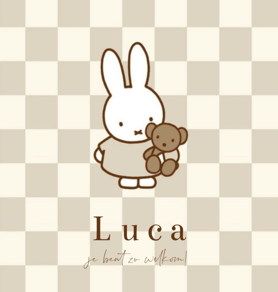 Geboortekaartje neutraal nijntje beertje beige geblokt Luca