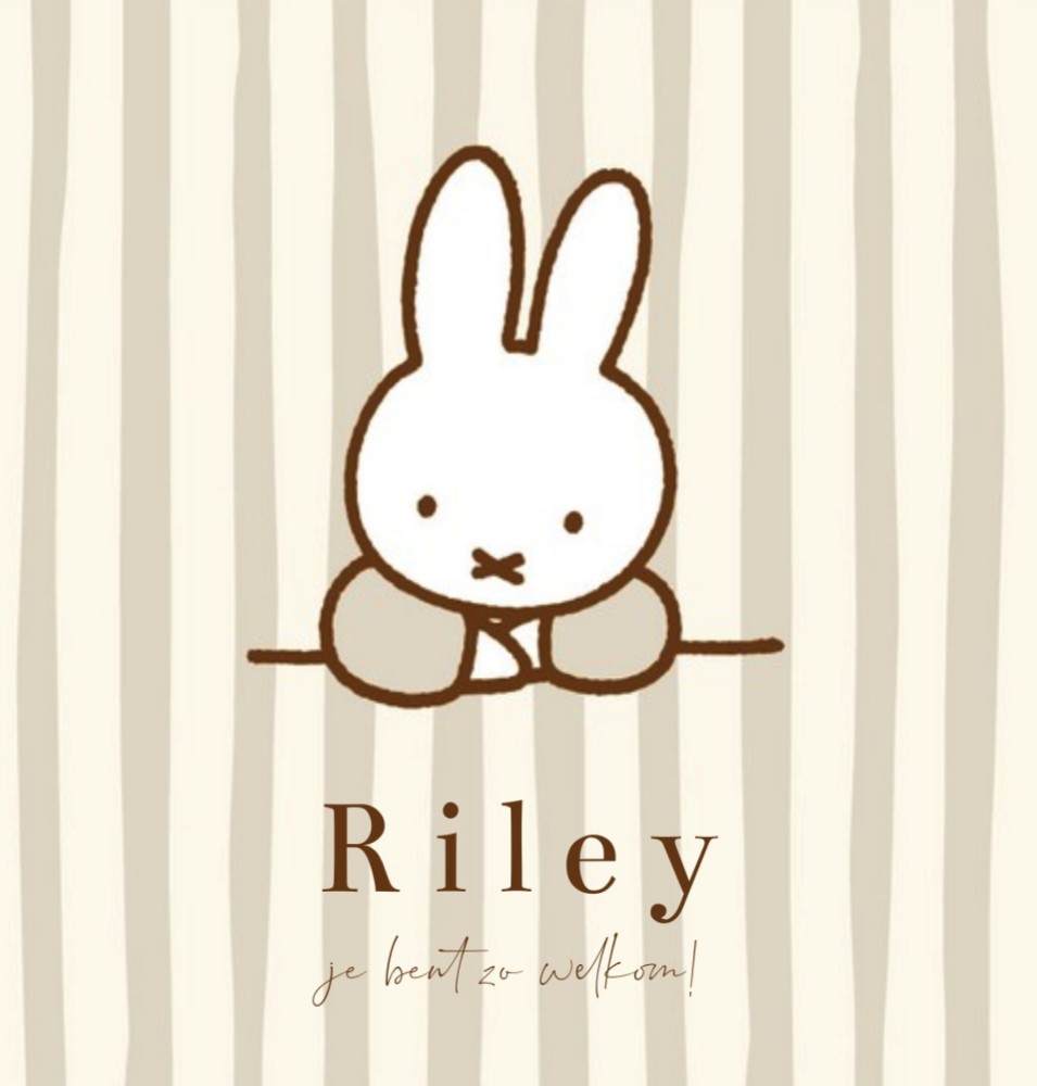 Geboortekaartje neutraal nijntje strepen beige Riley