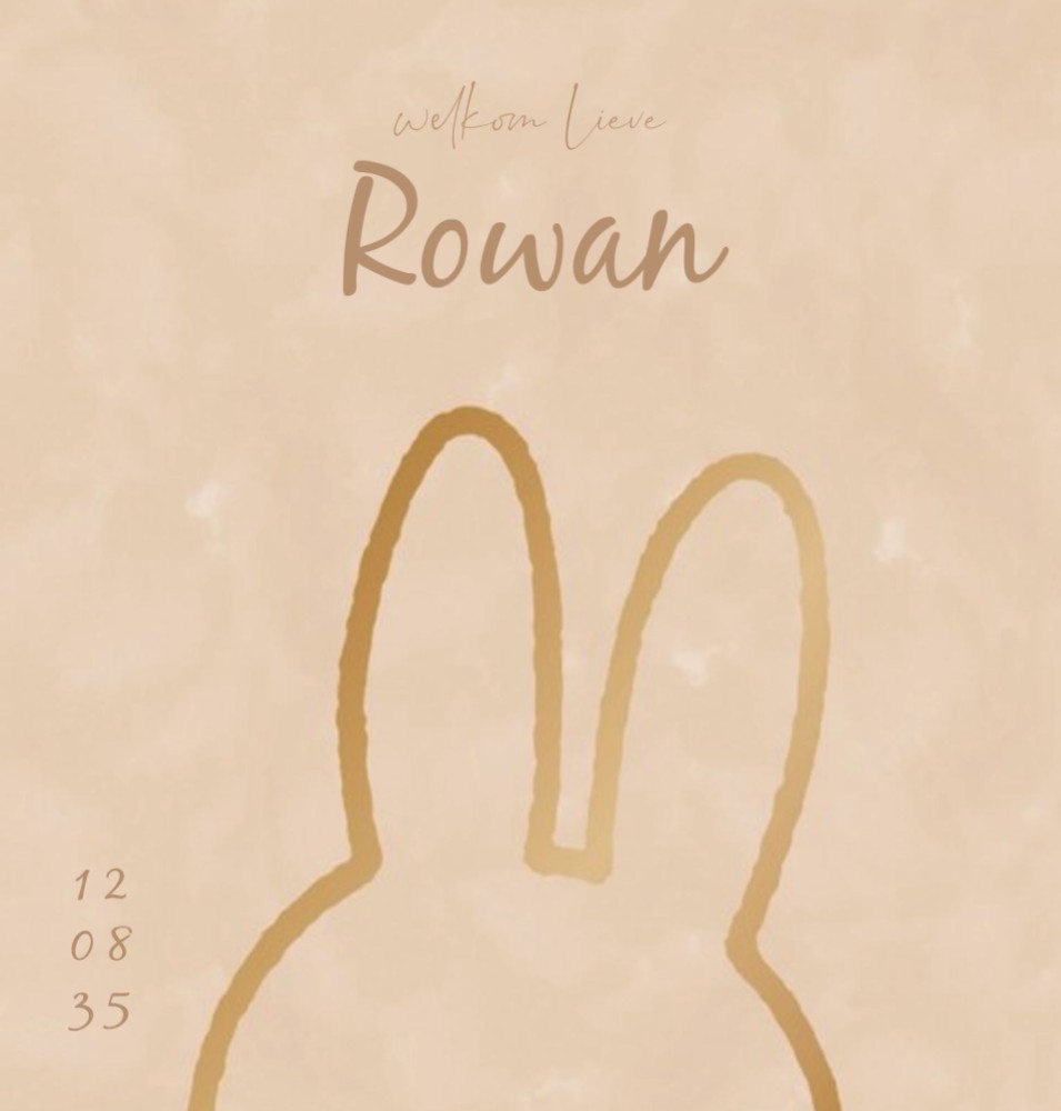 Geboortekaartje neutraal nijntje oren beige Rowan