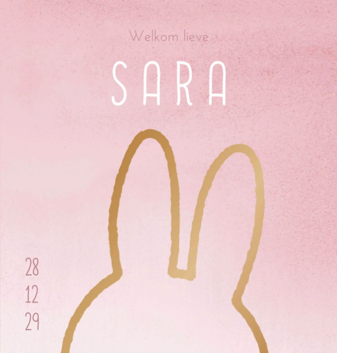 Geboortekaartje meisje nijntje oren roze Sara
