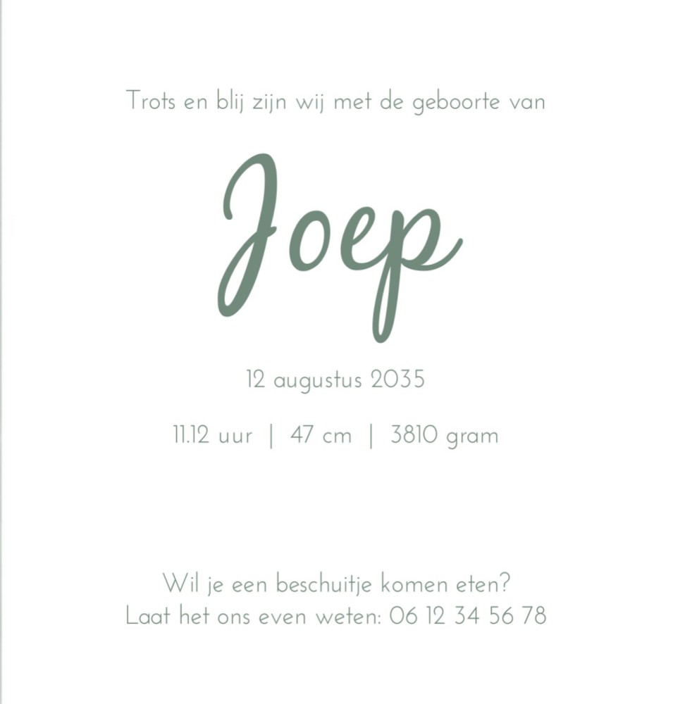 Rechter binnenzijde van geboortekaartje neutraal nijntje portret goudlook Joep