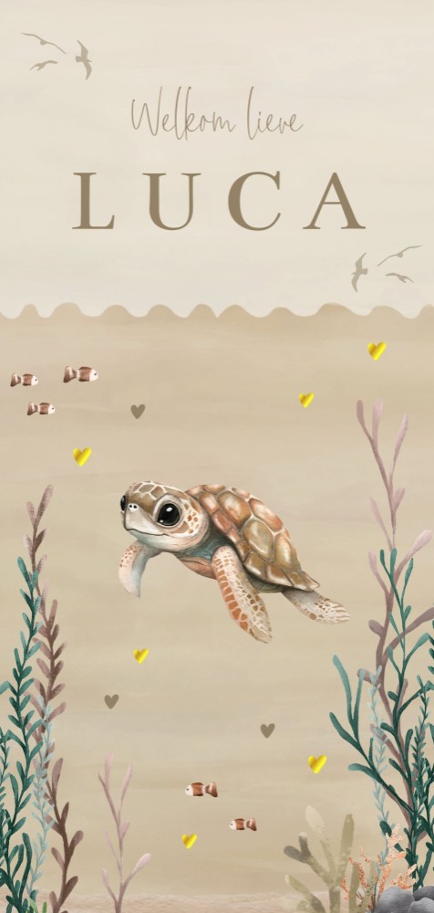 Geboortekaartje neutraal onderwater schildpad Luca