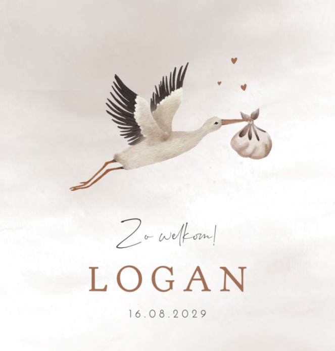 Geboortekaartje neutraal ooievaar Logan