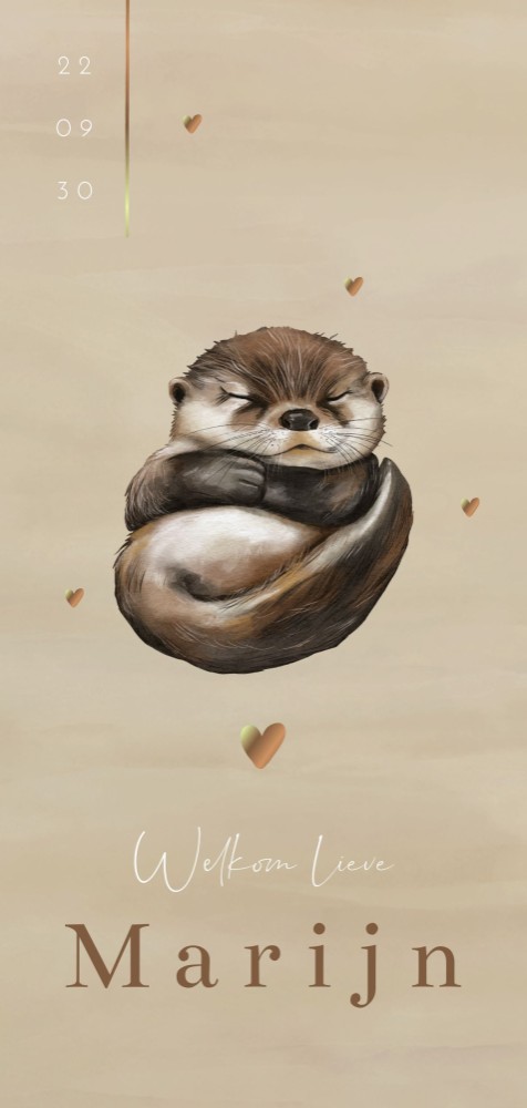 Geboortekaartje neutraal otter Marijn