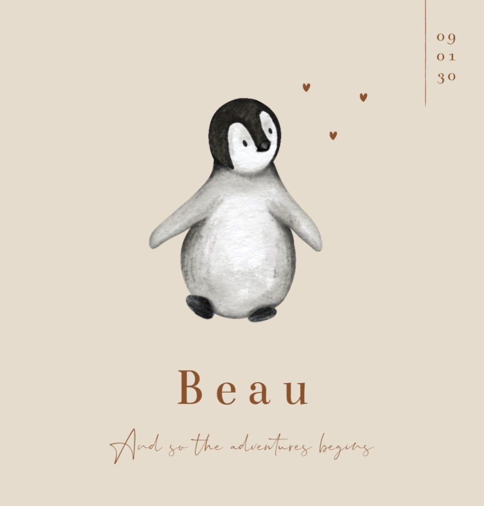 Geboortekaartje neutraal pinguïn Beau