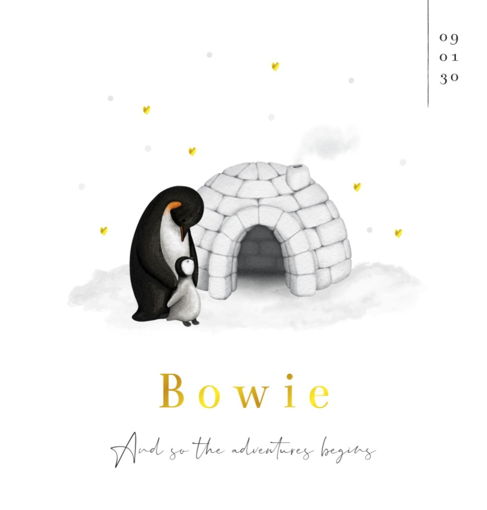 Geboortekaartje neutraal winter pinguïn Bowie