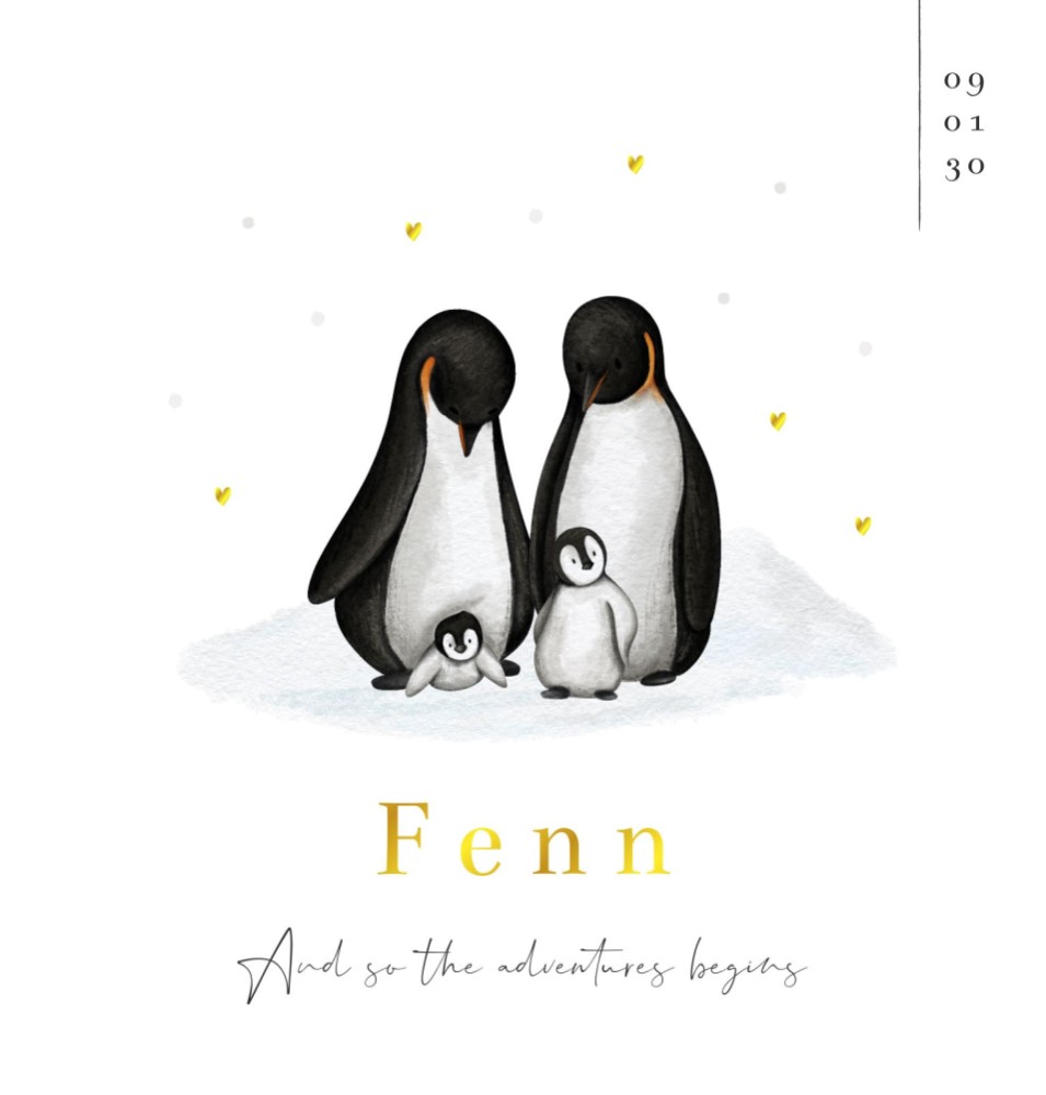 Geboortekaartje neutraal pinguïn Fenn