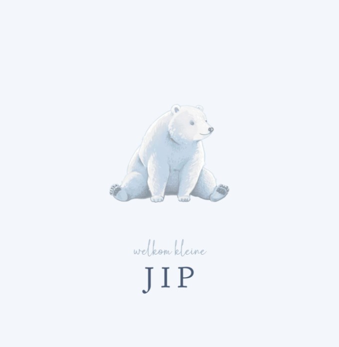 Geboortekaartje jongen minimalistisch ijsbeer Jip
