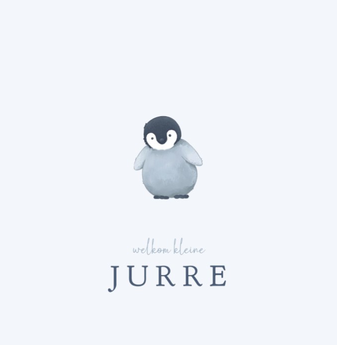 Geboortekaartje neutraal pinguïn Jurre
