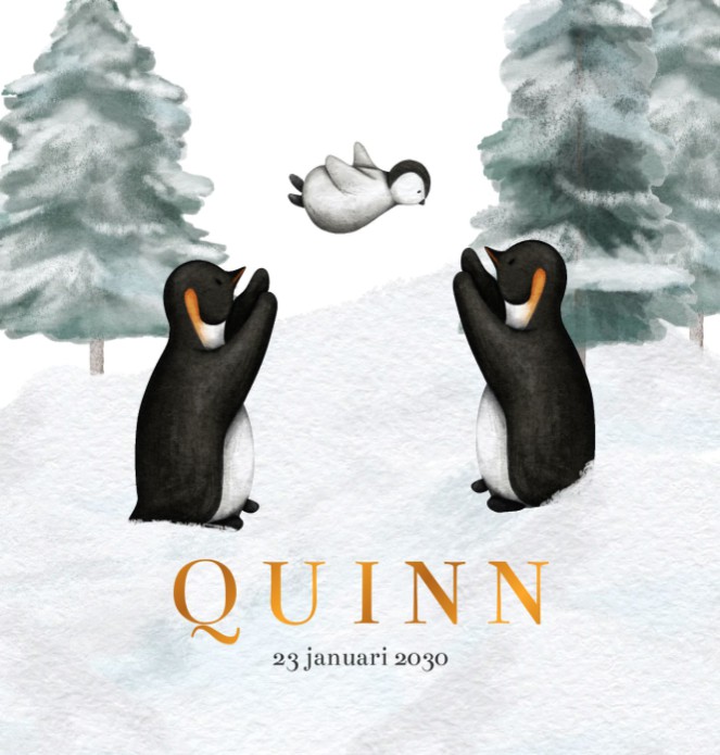 Geboortekaartje neutraal pinguin Quinn