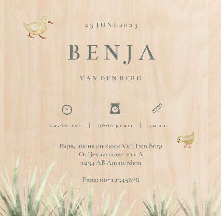 Geboortekaartje neutraal boerderij aquarel hout Benja