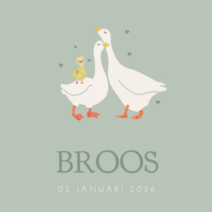 Geboortekaartje neutraal gansjes groen Broos