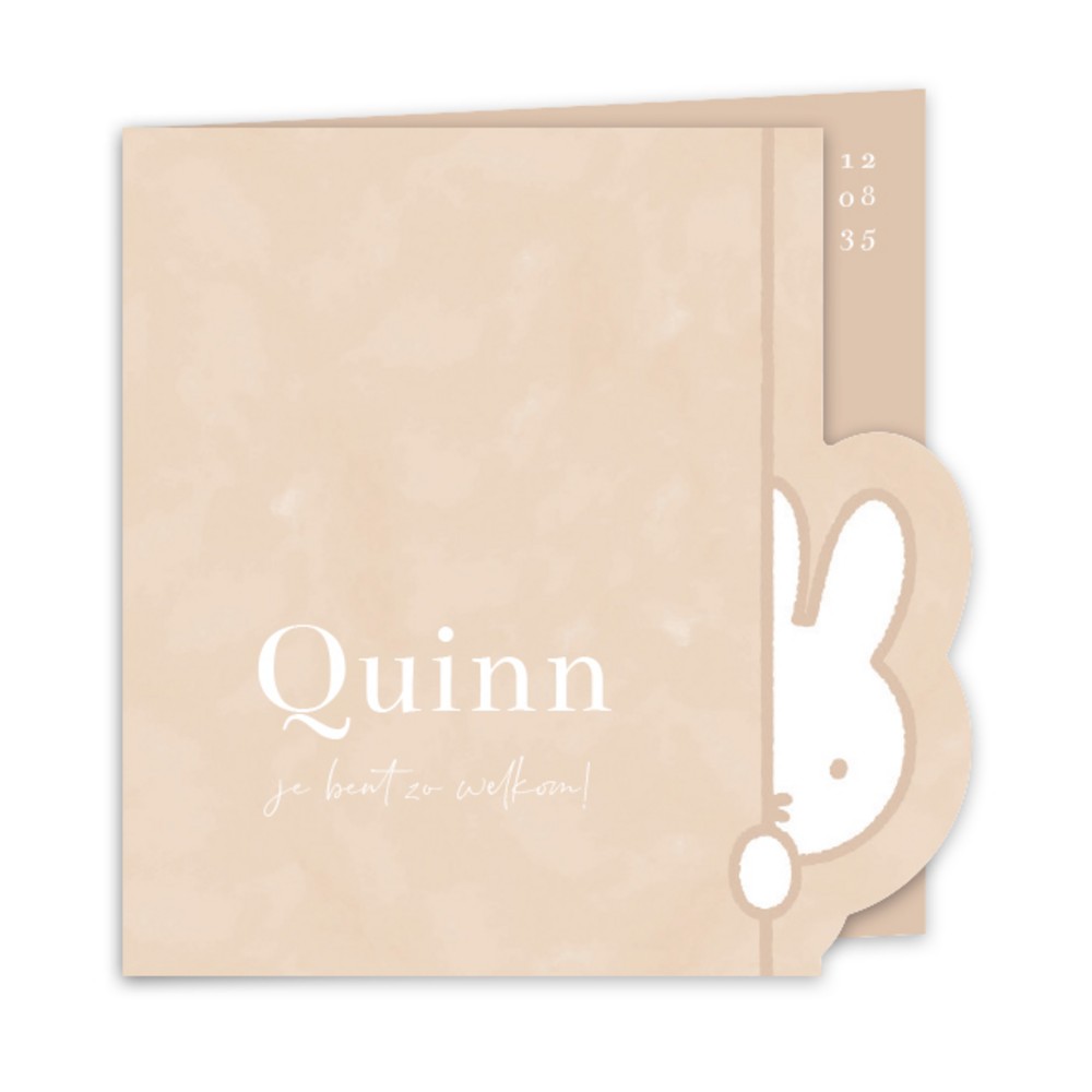 Voorkant van geboortekaartje nijntje Quinn