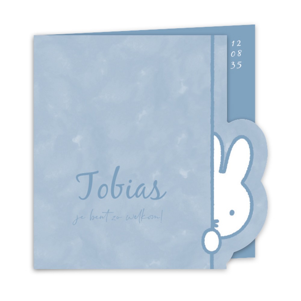 Geboortekaartje jongen nijntje kiekeboe Tobias