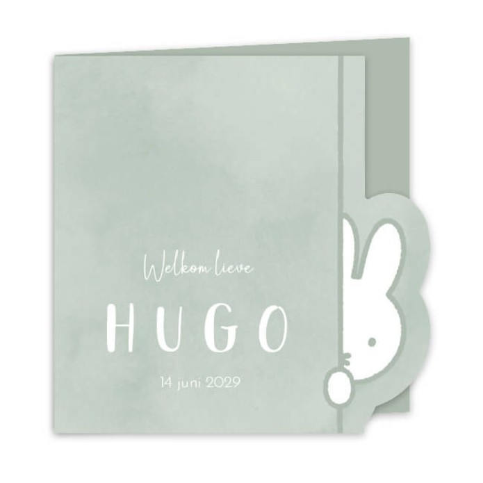 Geboortekaartje neutraal nijntje uitsnede Hugo