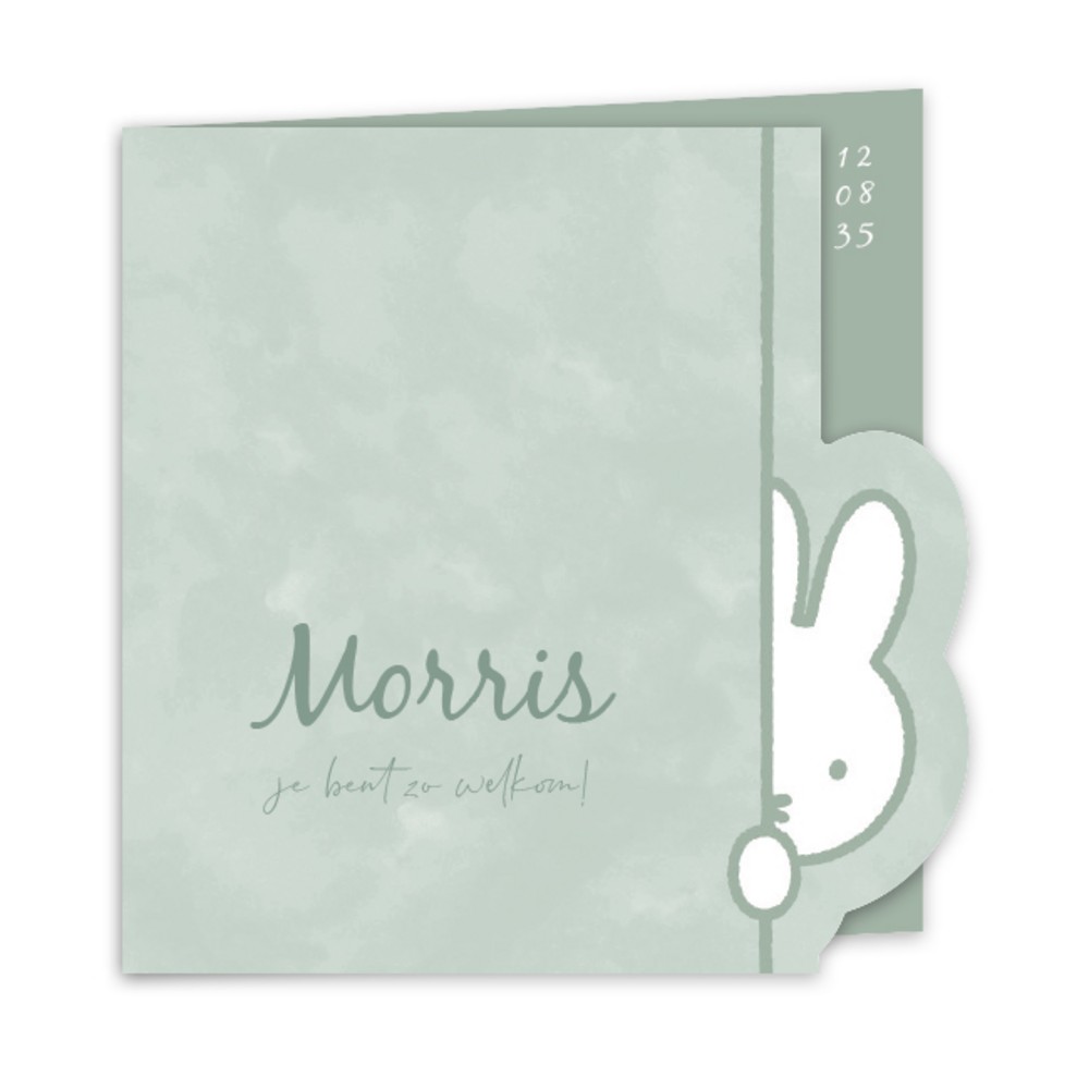 Voorkant geboortekaartje nijntje Morris
