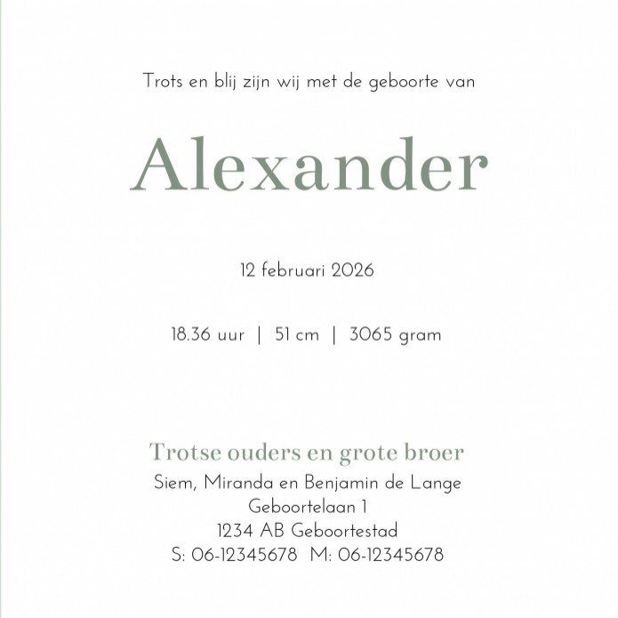 Geboortekaartje nijntje minimalistisch groen Alexander