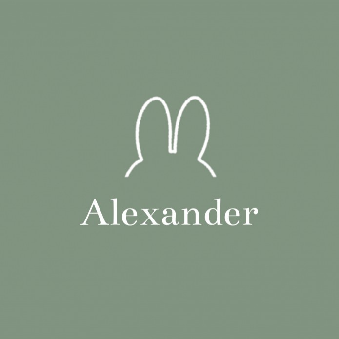 Geboortekaartje nijntje minimalistisch groen Alexander