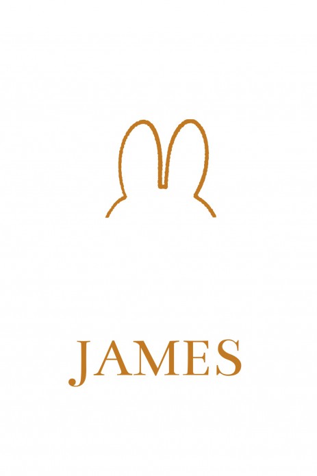 Geboortekaartje nijntje oren minimalistisch James