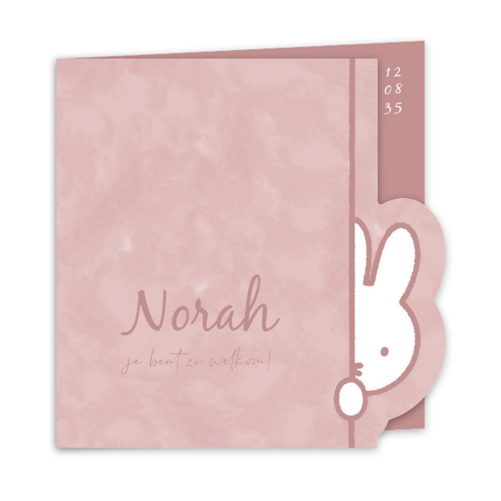Geboortekaartje meisje nijntje kiekeboe Norah
