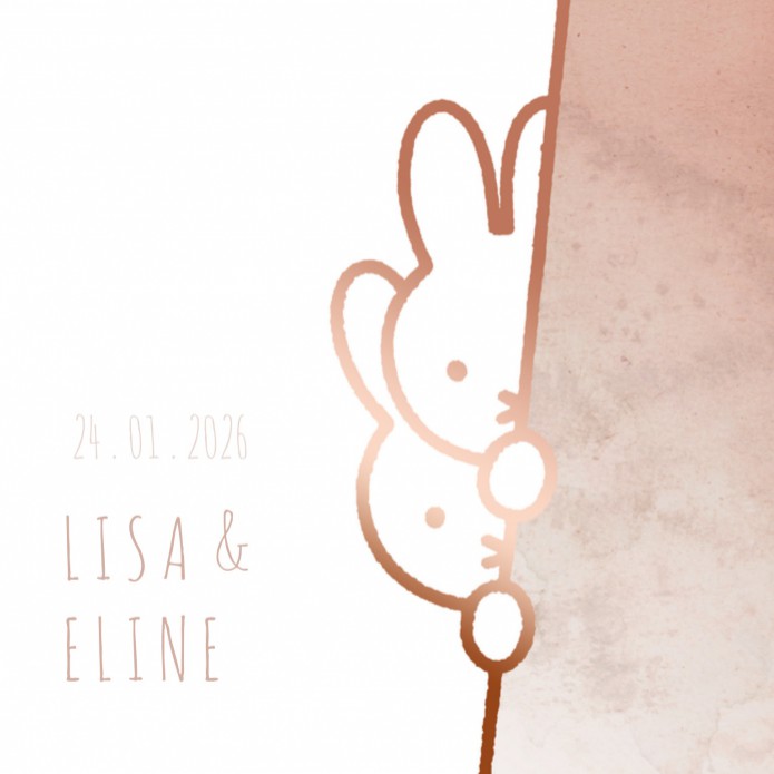 Geboortekaartje nijntje tweeling roze Lisa en Eline voor