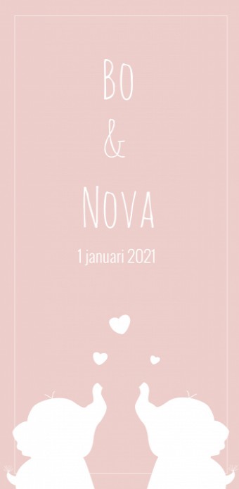 Geboortekaartje Olifant Bo & Nova