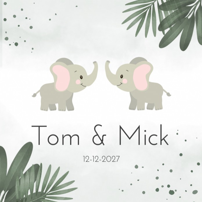 Geboortekaartje olifanten groene watercolor Tom en Mick voor