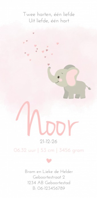 Geboortekaartje meisje olifant met roze aquarel Noor achter