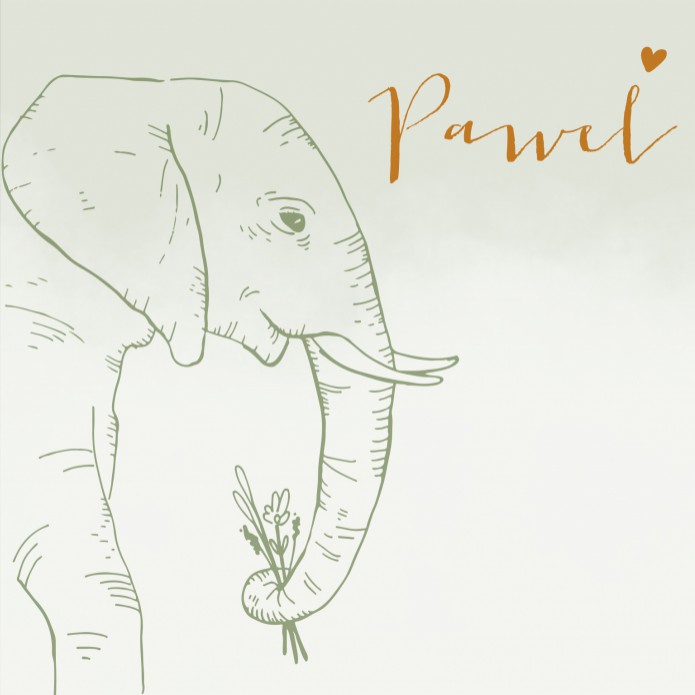 Geboortekaartje jongen groen olifant koperfolie Pawel voor