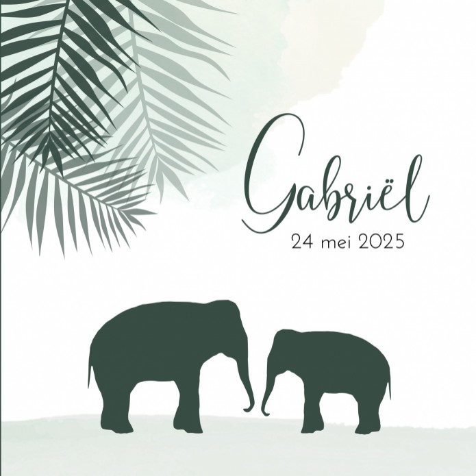 Geboortekaartje olifant silhouette Gabriël