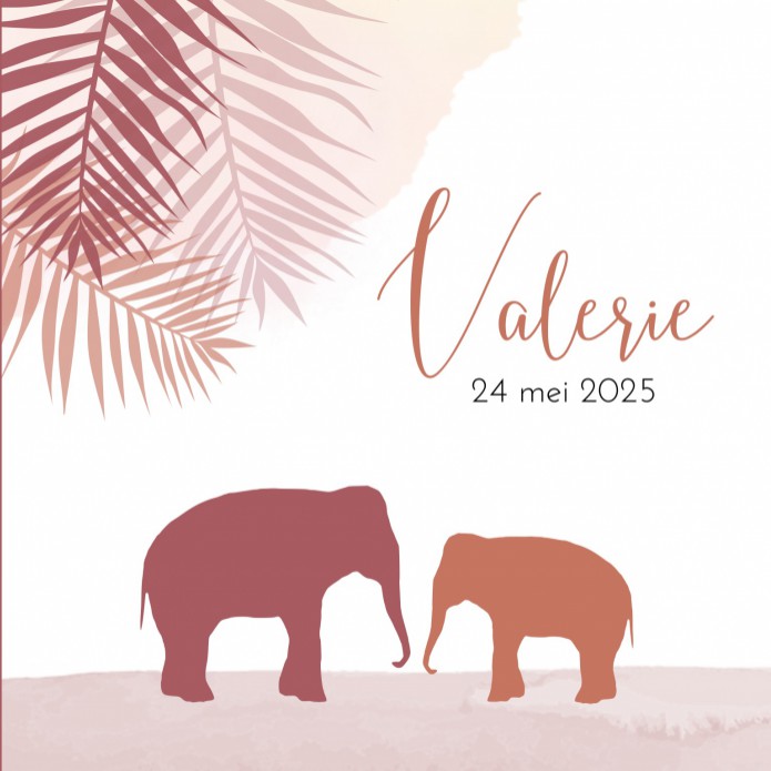 Geboortekaartje olifant silhouette roze Valerie