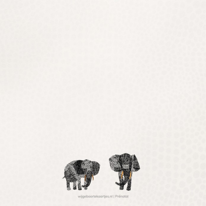 Geboortekaartje Prénatal tweeling olifanten Fay & Mae
