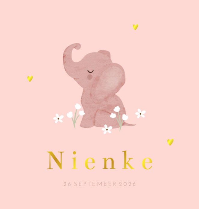 Geboortekaartje meisje roze olifantje Nienke